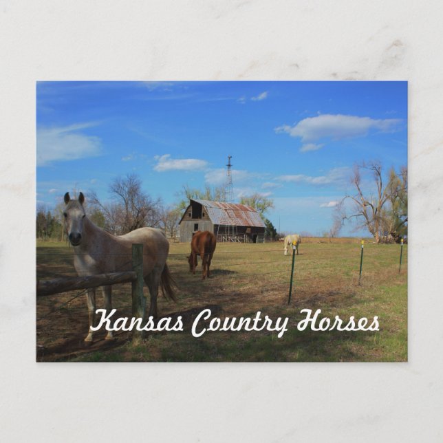 Postkarte (Vorderseite)