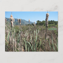 Postkarte