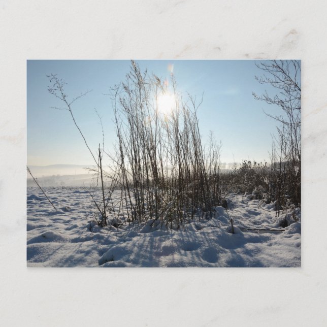 Postkarte (Vorderseite)
