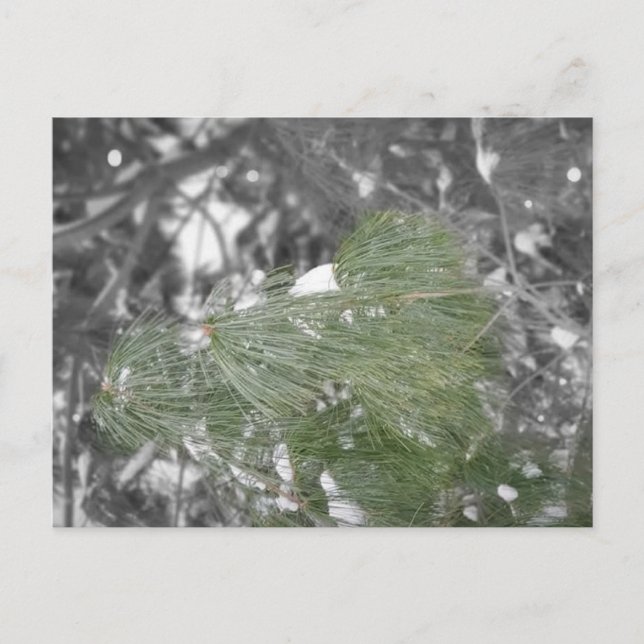 Postkarte (Vorderseite)