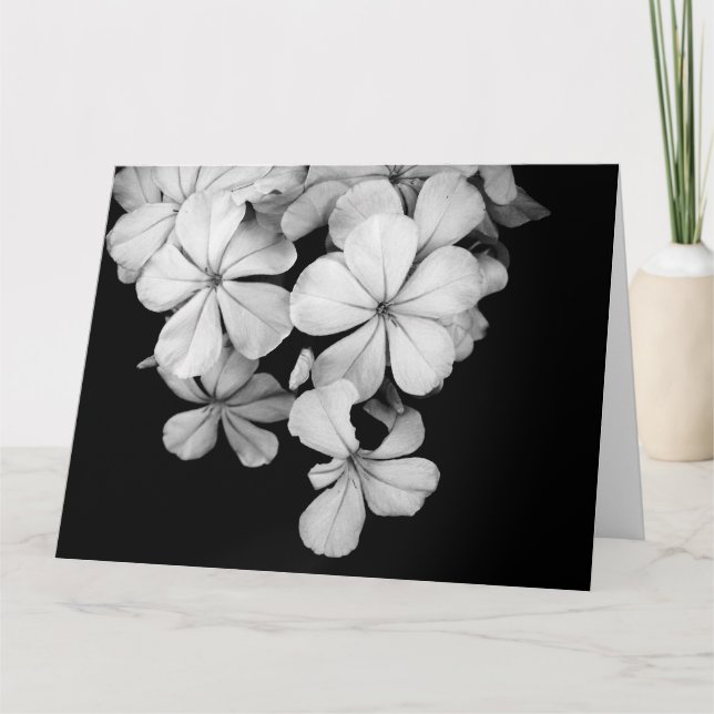 Postkarte (Vorderseite)