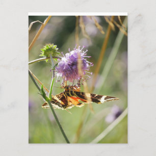 Postkarte