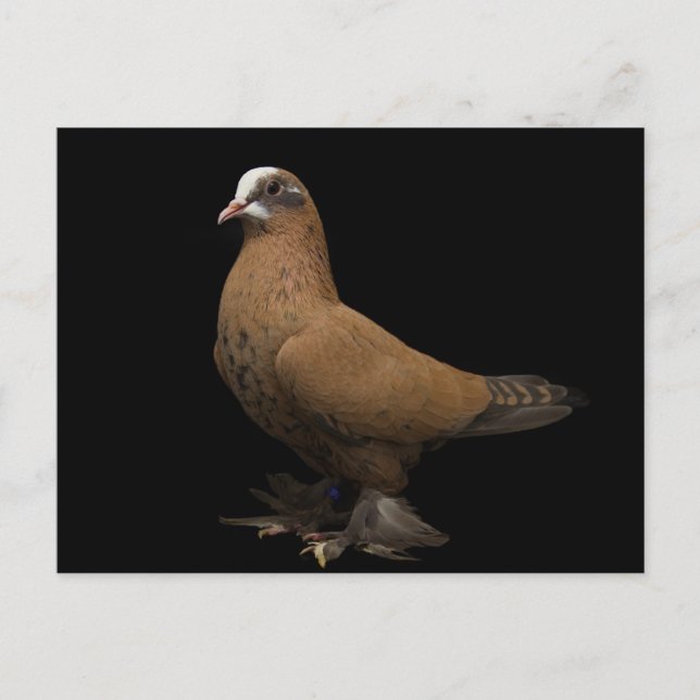 Postkarte (Vorderseite)