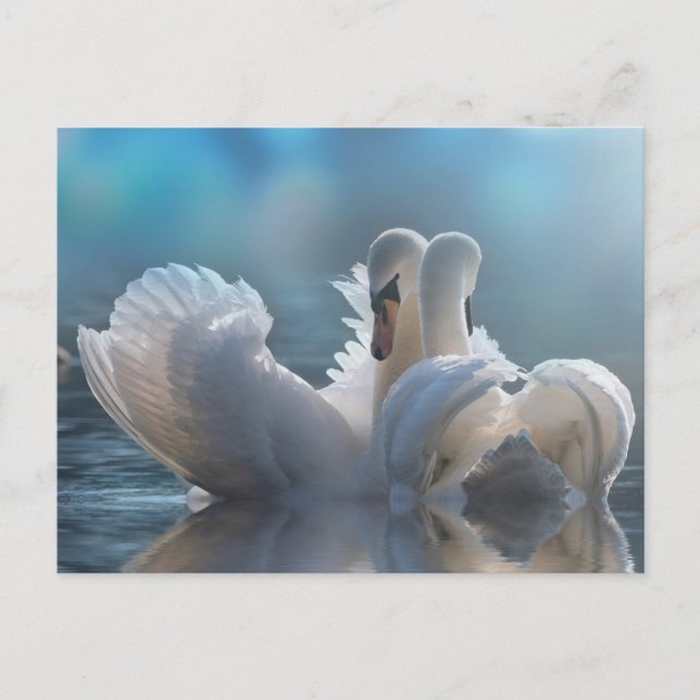 Postkarte (Vorderseite)