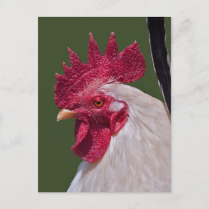 Postkarte