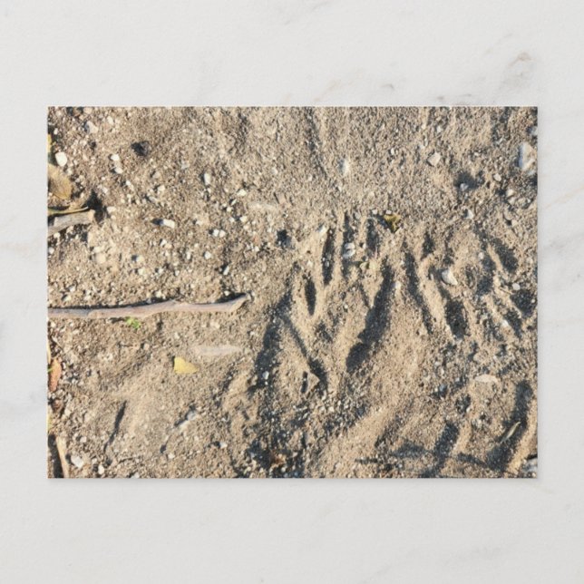 Postkarte (Vorderseite)