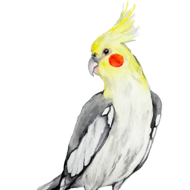 Postkarte (Von Creator hochgeladen)