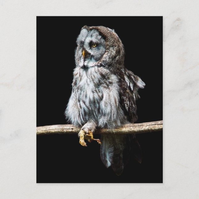 Postkarte (Vorderseite)