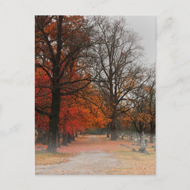 Postkarte (Vorderseite)
