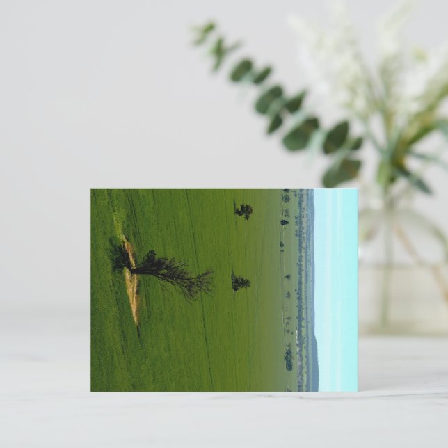 Postkarte (Stehend Vorderseite)