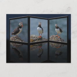 Postkarte