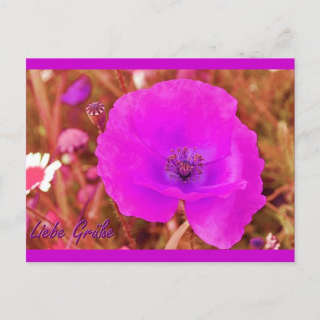 Postkarte (Vorderseite)