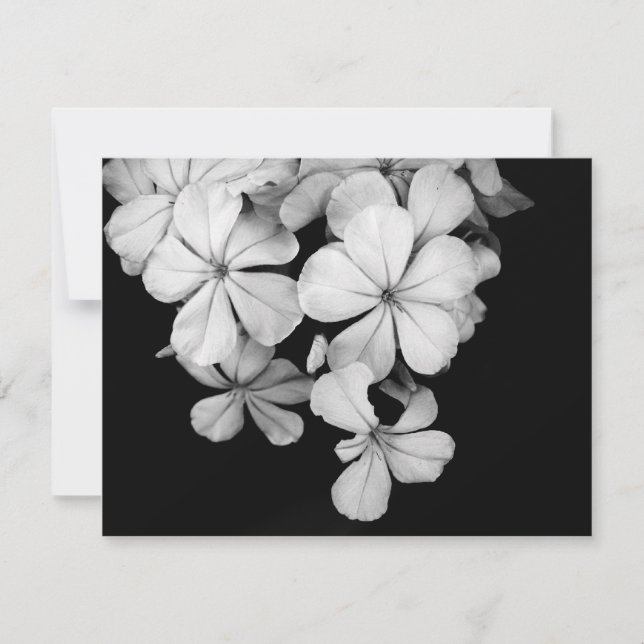 Postkarte (Vorderseite)