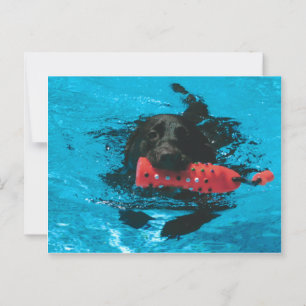 Postkarte