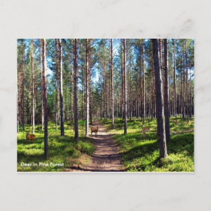 Postkarte