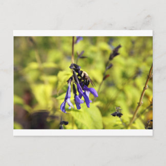 Postkarte