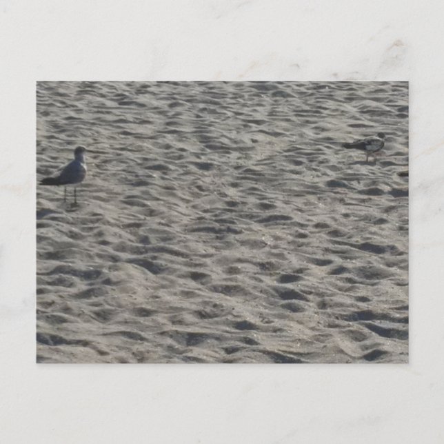 Postkarte (Vorderseite)