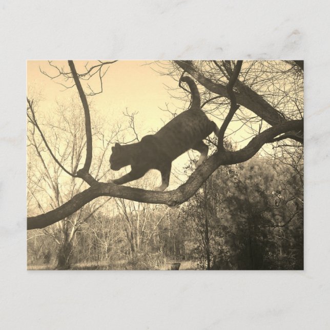 Postkarte (Vorderseite)