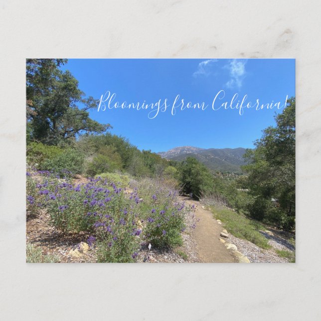 Postkarte (Vorderseite)