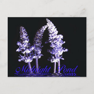 Postkarte