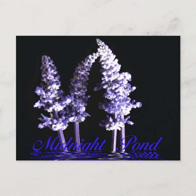 Postkarte (Vorderseite)