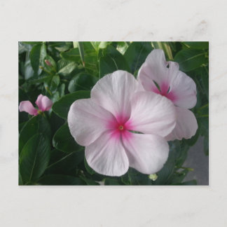 Postkarte