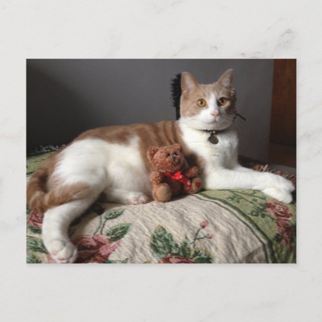 Postkarte (Vorderseite)