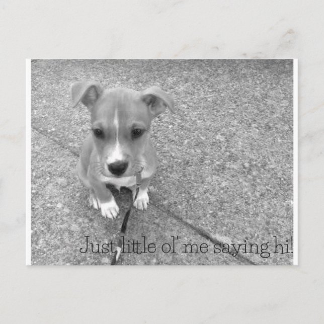 Postkarte (Vorderseite)