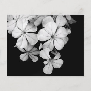 Postkarte