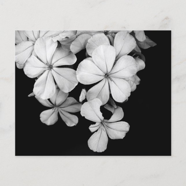 Postkarte (Vorderseite)