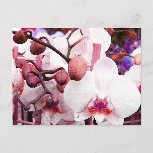 Postkarte (Vorderseite)