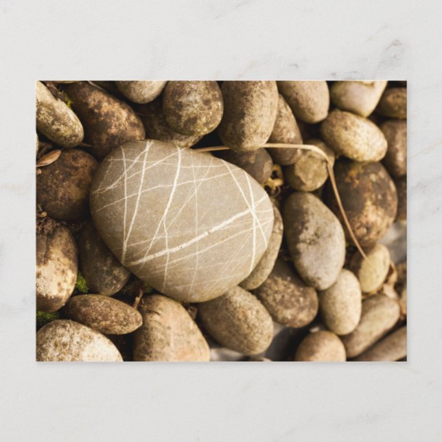 Postkarte (Vorderseite)