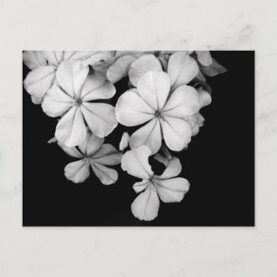 Postkarte