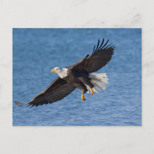  POSTKARTE