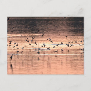 Postkarte