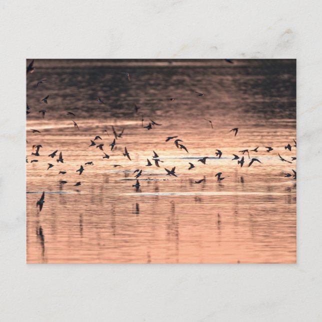 Postkarte (Vorderseite)