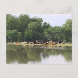 Postkarte