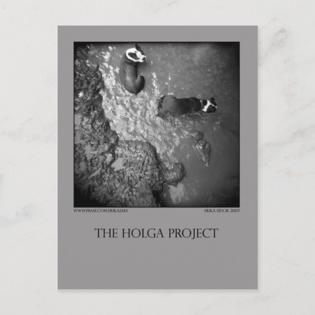 Postkarte 4 (Vorderseite)