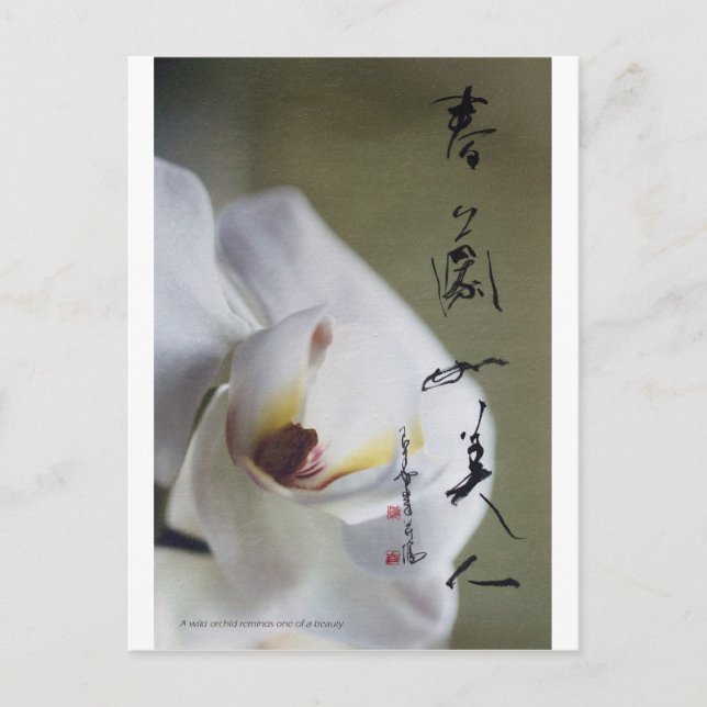 Postkarte 4 (Vorderseite)