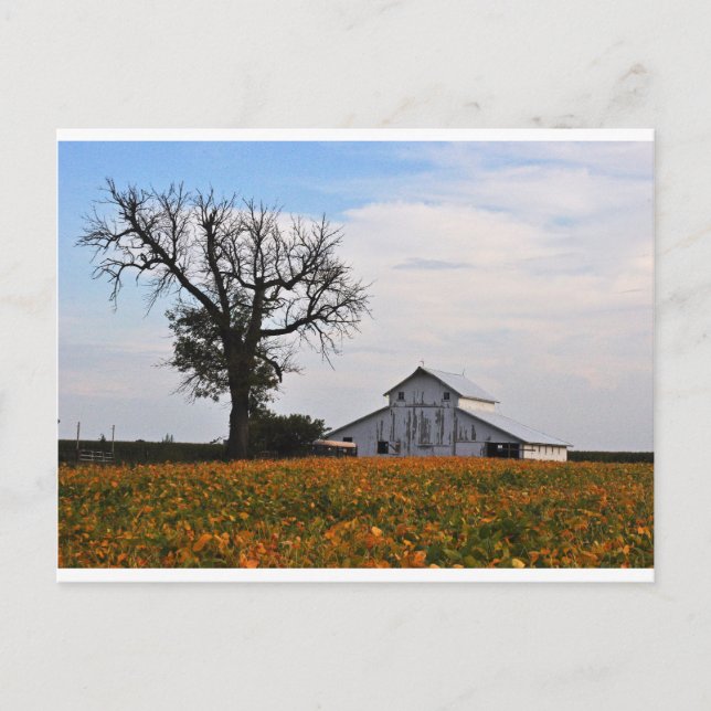 Postkarte, alte Scheune Postkarte (Vorderseite)