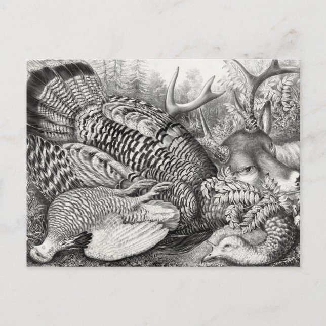 Postkarte "American Forest Game" (Vorderseite)