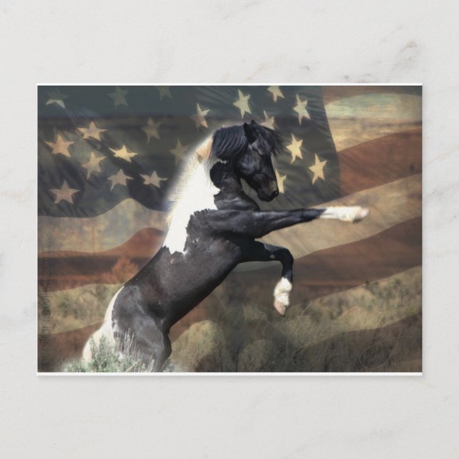 Postkarte an das Innenministerium (Vorderseite)