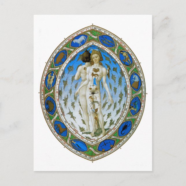 Postkarte: Anatomischer Mensch Postkarte (Vorderseite)