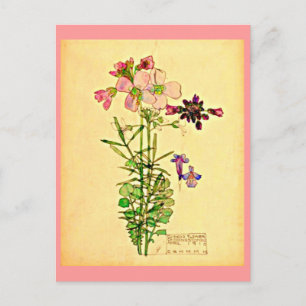 Postkarte-Antike Kunst-Charles Rennie Mackintosh 2 Postkarte