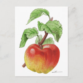 Postkarte "Apfel Jeanne Hardy"