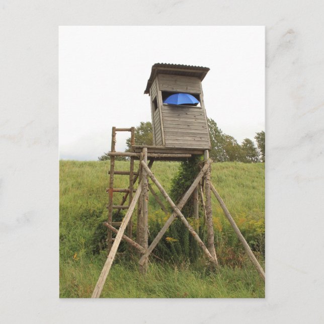 Postkarte - auf der Pirsch (Vorderseite)