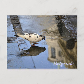 Postkarte aus Belgrad