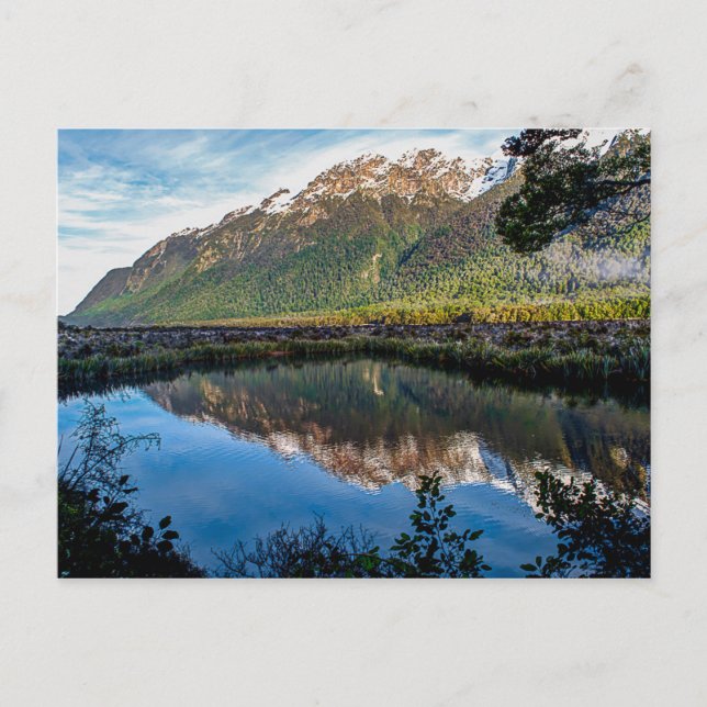 Postkarte aus Neuseeland (Vorderseite)