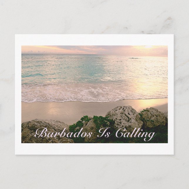 POSTKARTE/"BARBADOS RUFT"/GEWEBE MUTIERTE FARBEN POSTKARTE (Vorderseite)