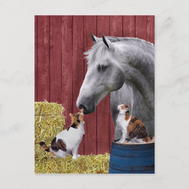 Postkarte "Barn Buds" (Vorderseite)